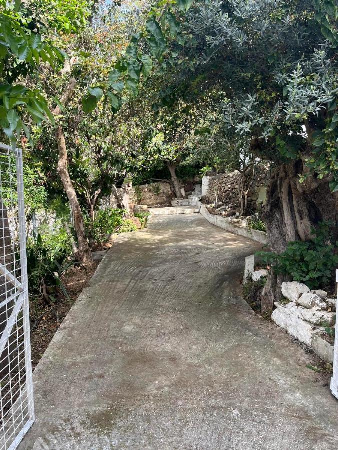 Aegean Summer House Poros Town ภายนอก รูปภาพ